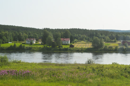 Vackra sommarängar och älven mellan Sverige  och Finland