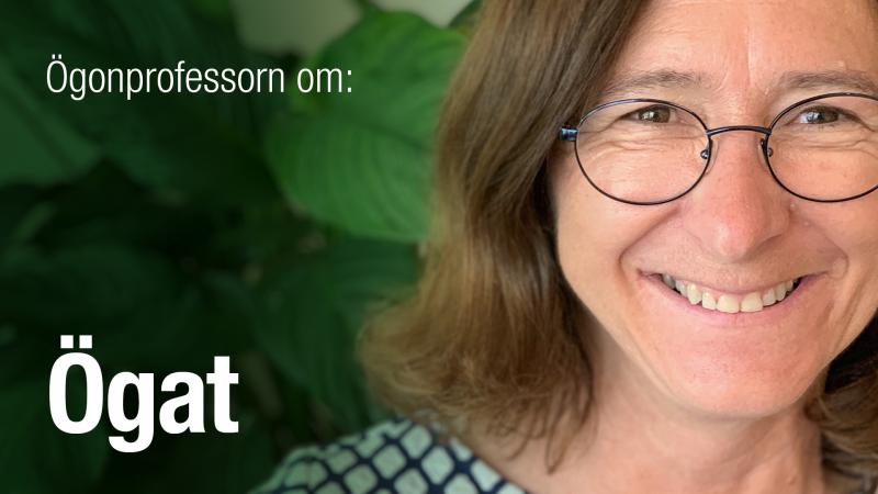 Ögonprofessorn om ögat