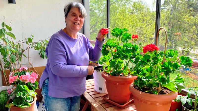 Vivianne har en lila tröja och blå jeans. Hon står på sin balkong bland blommor och blad. Hon sträcker handen mot en klarröd begonia i stor kruka.